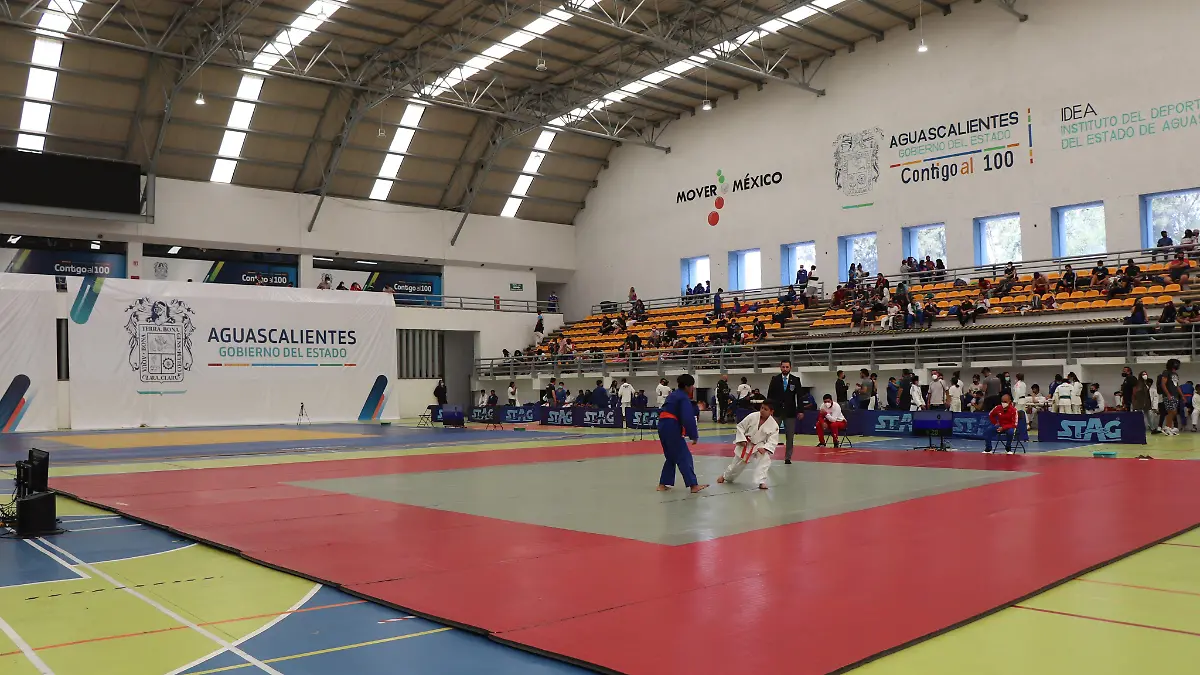 Judo       Cortesía @ideaags